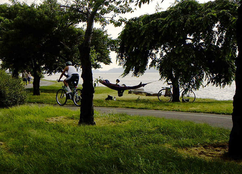 Relaxing Along the Hudson Greenway - NYC