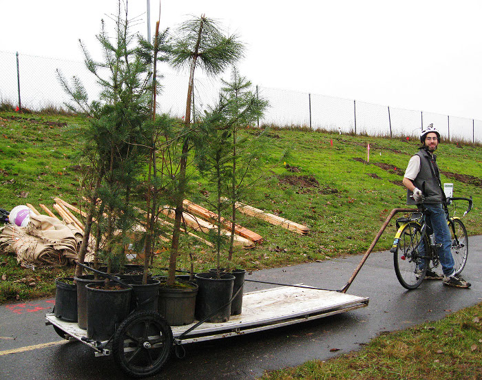 Delivering Trees to be Planted